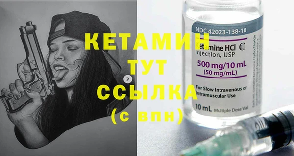 ГАЛЛЮЦИНОГЕННЫЕ ГРИБЫ Дмитриев