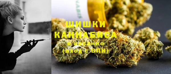 крисы Лагань