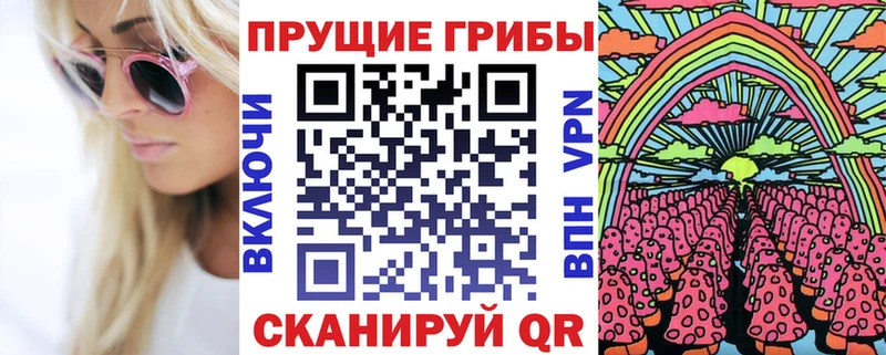 блэк спрут зеркало  Жирновск  Галлюциногенные грибы Cubensis 